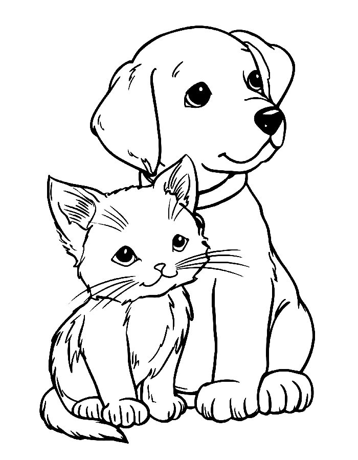 Friendly Puppy Sitting Beside A Fluffy Kitten, Sharing A Sweet Moment Coloring Page