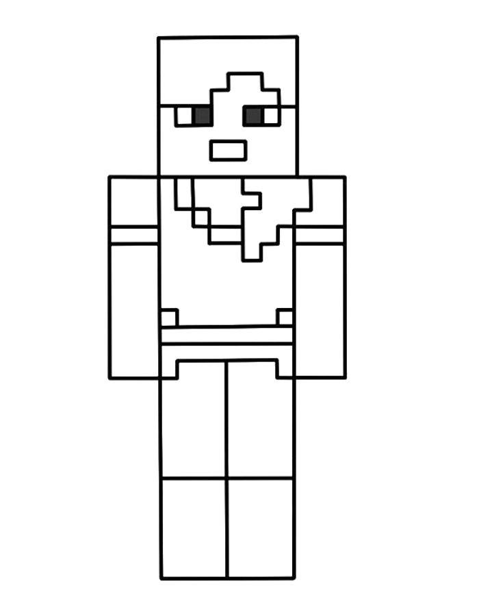 Minecraft Player Character Front View