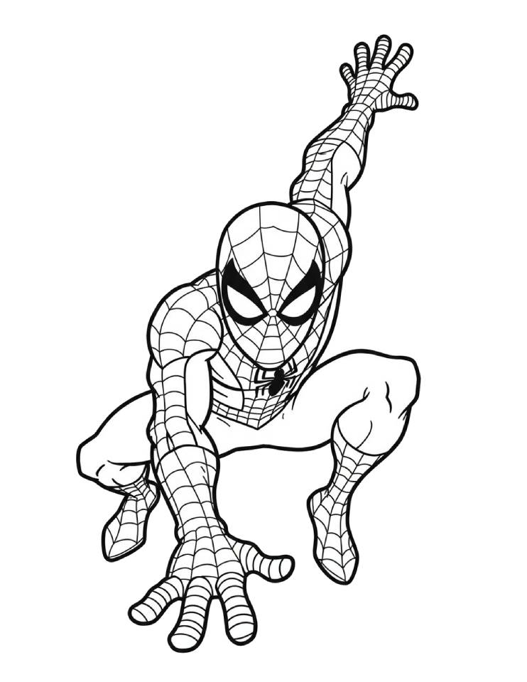 Spider Man a Marvel superhero