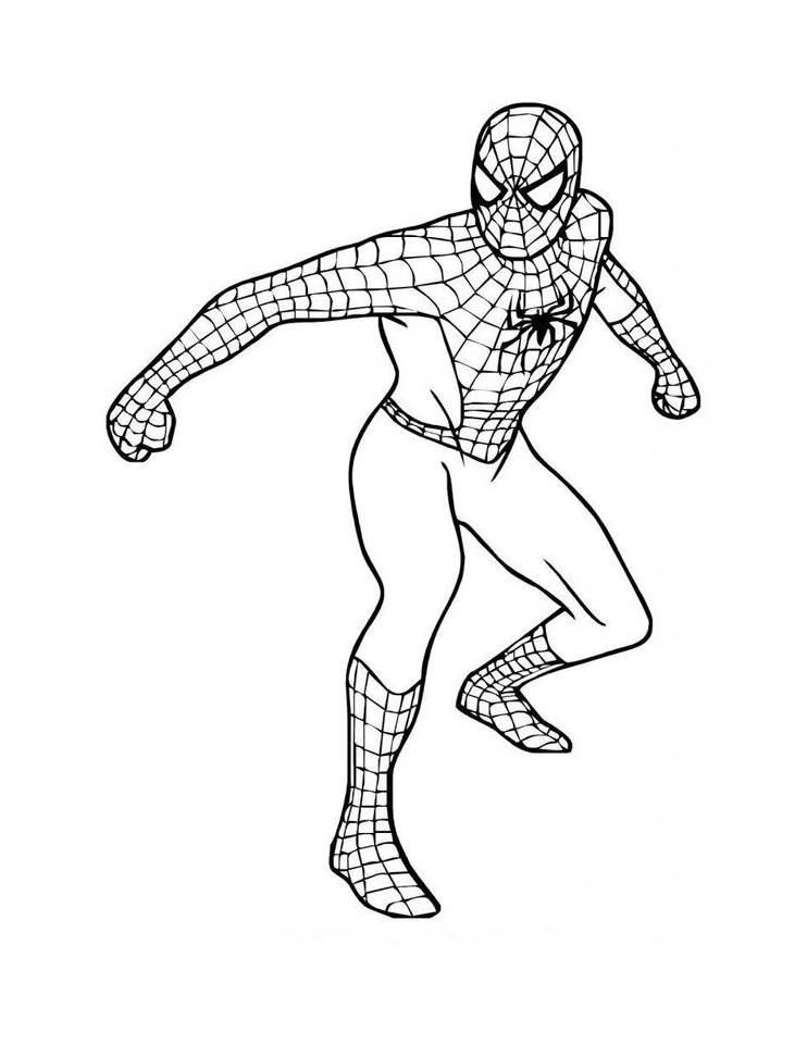 Spider-Man in a dynamic battle stance