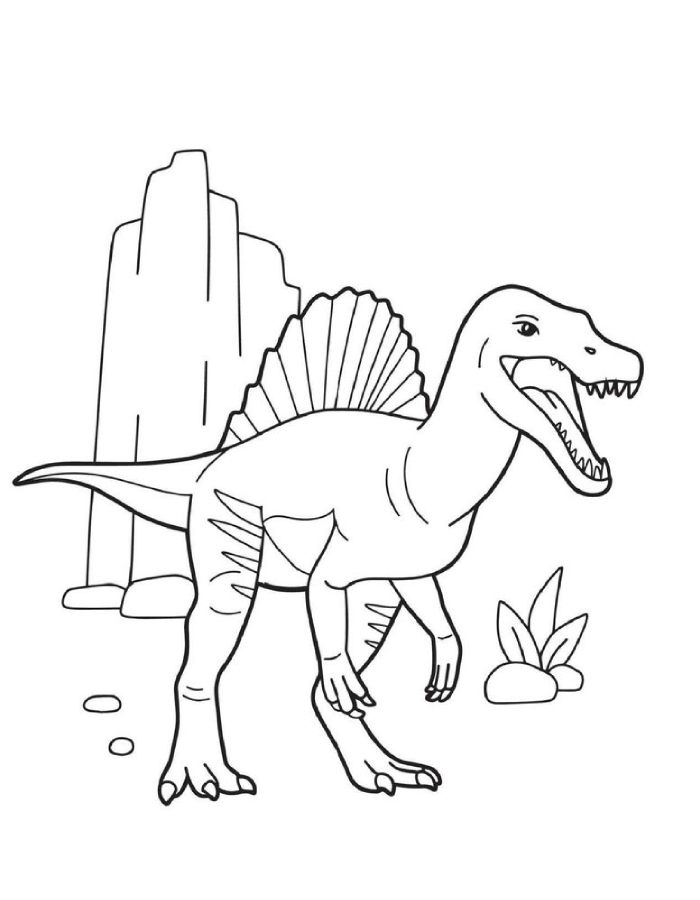 Spinosaurus With A Large Sail, Powerful Jaws, And Long Tail Near Rocks Coloring Page